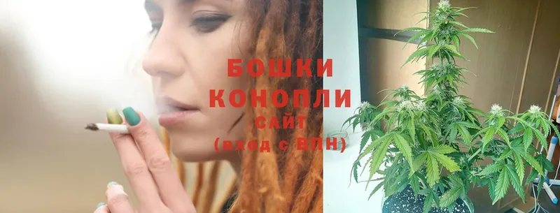 Конопля White Widow  Ликино-Дулёво 